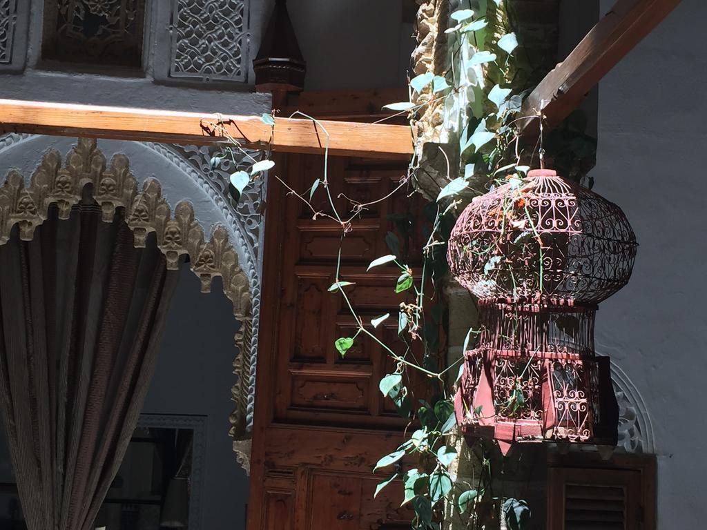Riad Marhaba 라바트 외부 사진